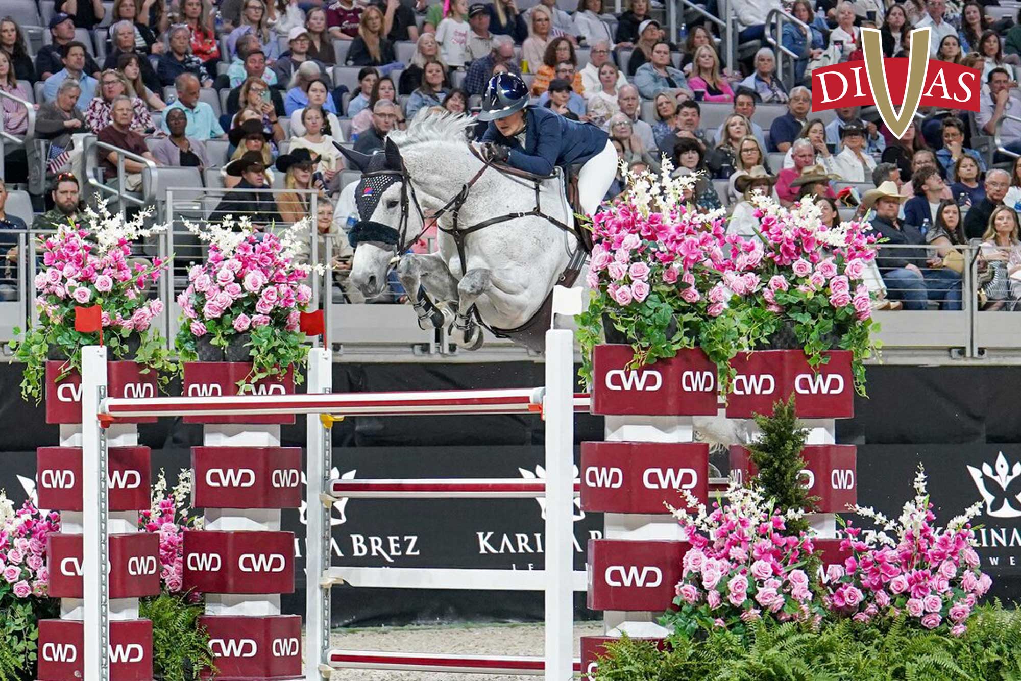Australian-bred Tulara Wat Colblensky bound for Aachen Australian-bred Tulara Wat Colblensky bound for Aachen