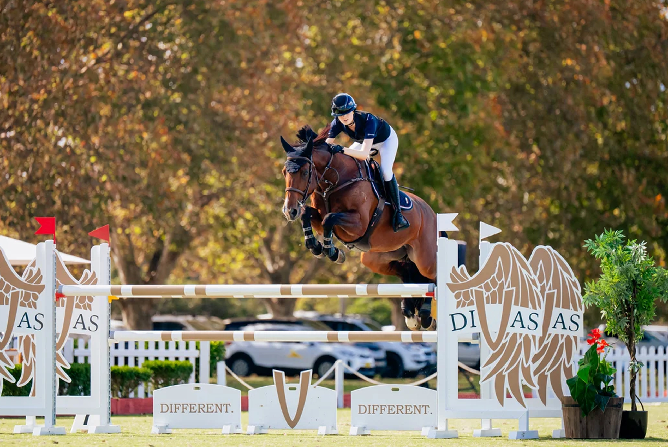 Australia to host its first FEI Under 25 2* Grand Prix at Kurri Burri, NSW Australia to host its first FEI Under 25 2* Grand Prix at Kurri Burri, NSW