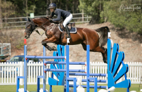 Larapinta World Cup Show jumps into action