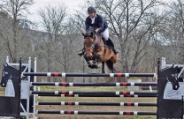 Stephen Dingwall triumphs in ACT Showjumping Cup