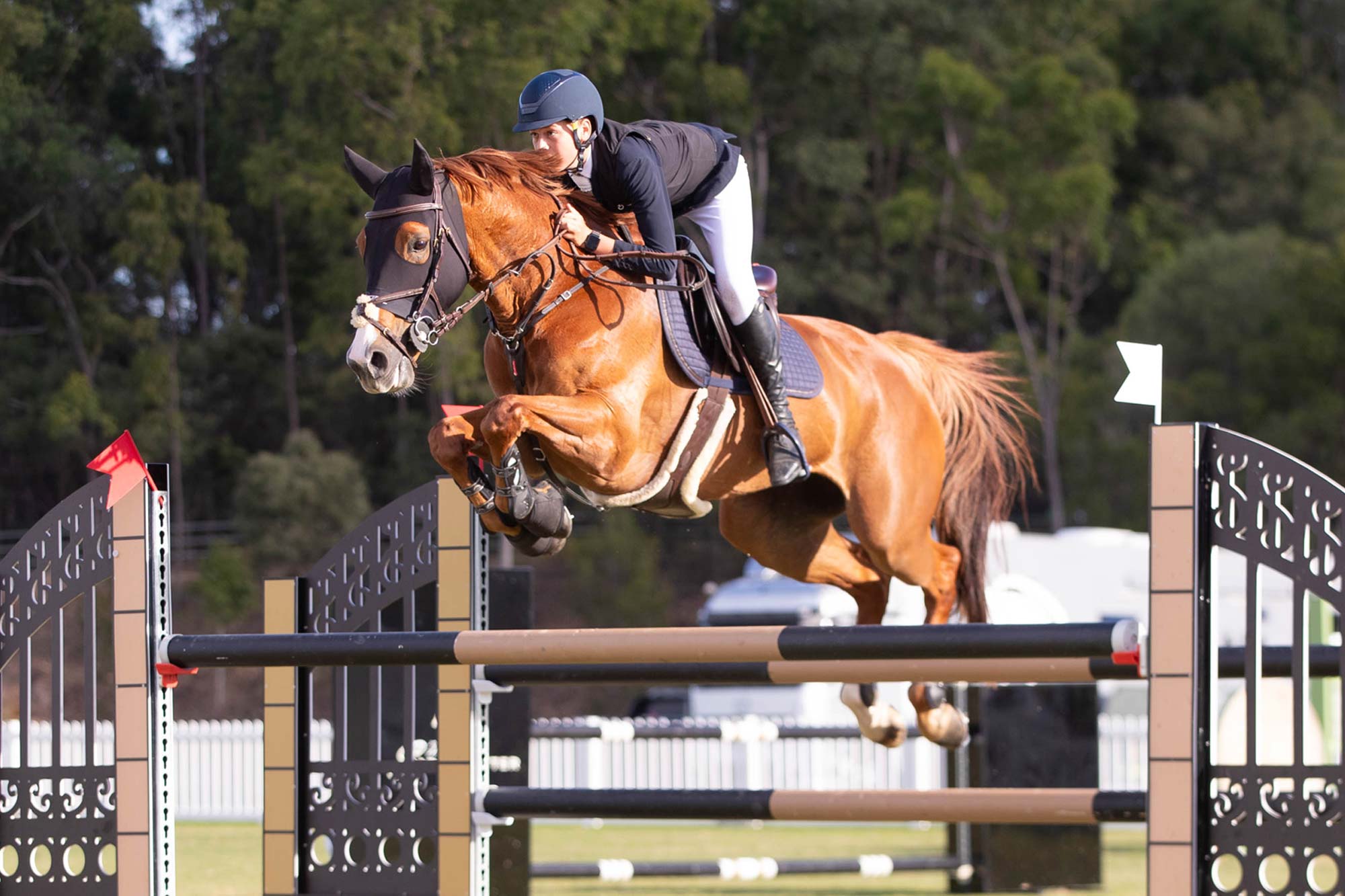 Magnier is Magnificent in Larapinta Stal Tops