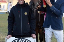 2016 Queensland Grand Prix Horse of the Year is 'Guru'
