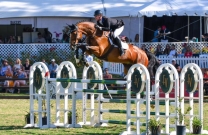 Lane Clarke & Balu U Win $75,000 HITS Grand Prix