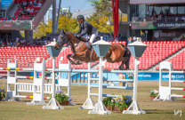 Sydney Royal History – The Samuel Hordern Memorial Perpetual Trophy