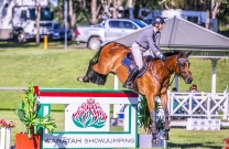 Lots of love for Waratah Showjumping