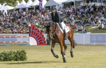 Australian Jumping Horses of 2018 - CP Aretino