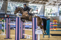 Jumping in Sydney resumes after the big wet