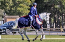 Anthony Thomas and 'SL Donato' do it again in SA
