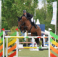 Billy Raymont: Chasing the Dream in Europe