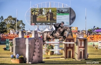 Sections 2 and 3 wrap up in style at Sydney Royal