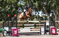 Billy Raymont and Oaks Redwood heading to Paris for World Cup