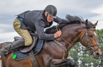 Bega Showjumping Club - Back on Track