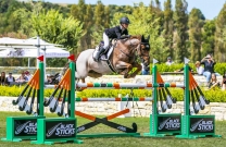 New Zealand Young Rider flies in to join AJTL team