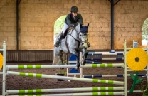 Cera Diarada ridden by Bridget Kelly claims Young Horse Champion at Swan River Jumping Festival