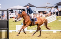 Larapinta storms onto the scene as a top-class jumping venue