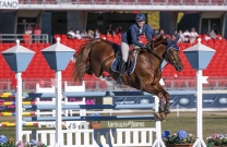 Competition heats up at Sydney Royal