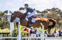 Caitlin Bolger and Caprino – Success at NVSJC Summer Show
