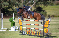 Charlie Magnier and Ogano Take Stonewall Grand Prix Honours