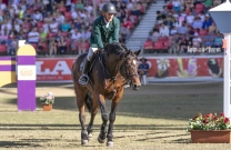 Chris Chugg wows the crowd at Sydney Royal