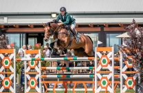 A thrilling climax for World Cup Jumping this coming weekend at Boneo