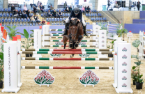 World Cup Series continues at Waratah Showjumping this afternoon