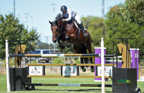 A hot weekend of Jumping in Shepparton