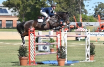 Clint Beresford and Emmaville Jitterbug officially win the 2016 World Cup Qualifier