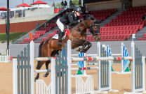 Coco Miles: Balancing Hoofbeats and Heartbeats