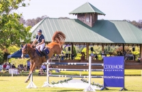 David Cameron takes inaugural Grand Prix at YRC Show