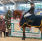Waratah Showjumping: Edwena Mitchell’s journey through challenges and triumphs
