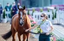 Aussie horses pass inspection in Tokyo