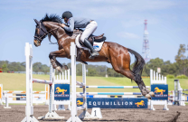 Thoroughbreds on show at Equimillion long weekend