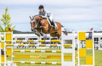 Australian Jumping Horses of 2018 - Quero Quero