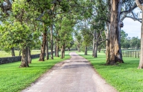 Welcome to Fernhill  -  a slice of equestrian heaven