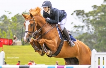 Australian Jumping Horses of 2018 - Flaire