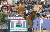 Competition will kick off at Waratah Showjumping