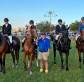 Jumping going Great Guns at Gunnedah.