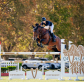 Australia to host its first FEI Under 25 2* Grand Prix at Kurri Burri, NSW
