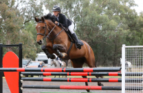 Hayley Cox stars at Macquarie Jumping Festival in Dubbo