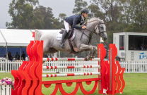 Jack Barker takes back to back Stal Tops Australian Young Rider Series