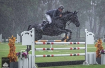 The Big Wet hits Waratah