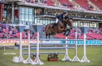 Yandoo Oaks Constellation takes out Section 1 honours at Sydney Royal