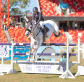 Excitement soars at Sydney Royal as we enter final two days