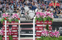 Australian-bred Tulara Wat Colblensky bound for Aachen