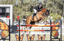 Festival of Showjumping a great success
