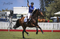 Magic Millions Jumping A Resounding Success