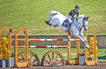 Australian Jumping Horses of 2018 - Casebrooke Lomond