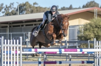 NSW Country Championships kick off under clear blue Wagga skies