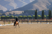 Equestrian Center in Temecula proposed as new venue for LA28