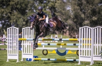 Sydney Show Jumping Club show off magnificent grounds at Summer Championships